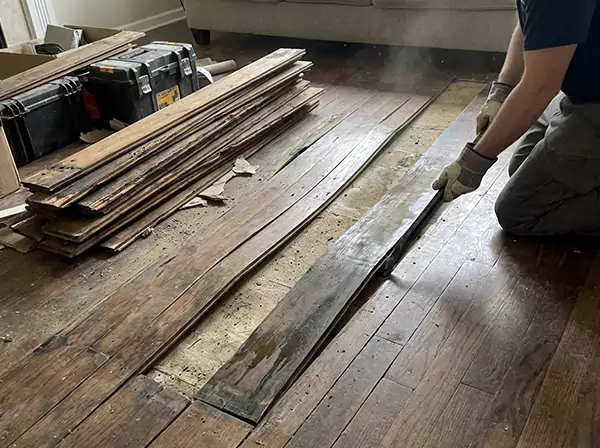 Water Damage Drying in Oakman