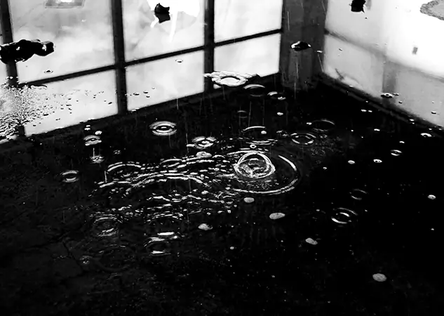 Your Contaminated Water Removal Specialists in Oakman, GA