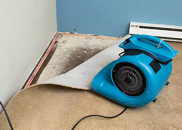 Your Water Damage Experts in Oakman, GA