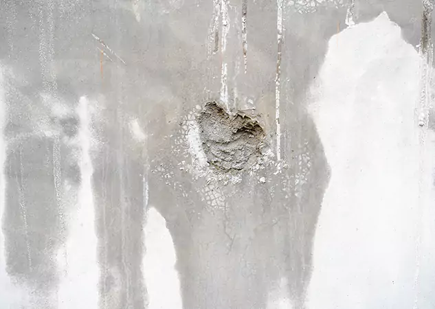 Your Mold Mitigation Solutions Partner in Oakman, GA