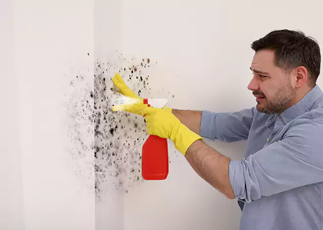 Your Water Mold Fire Restoration Partner in Oakman, GA