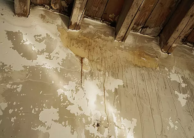 Your Trusted Restoration Company in Oakman, GA