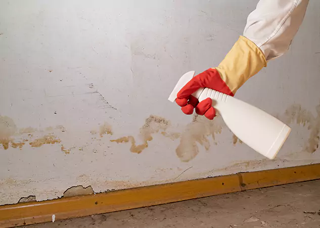 Your Water Restoration and Mold Remediation Specialists in Oakman, GA