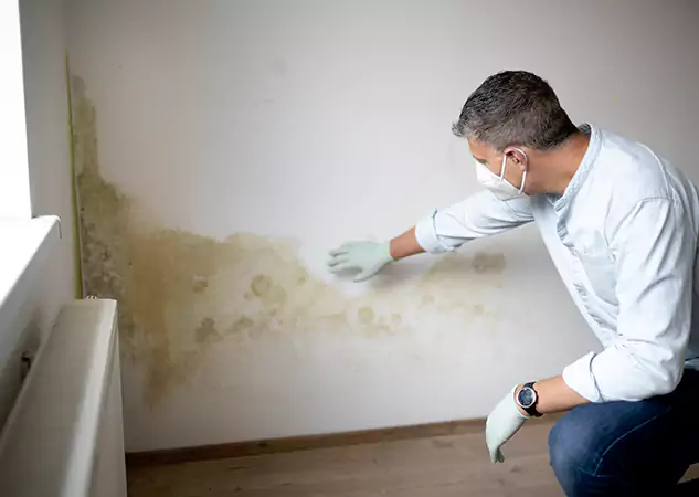 Reach Our Remediation Team Before Damage Grows in Oakman, GA!