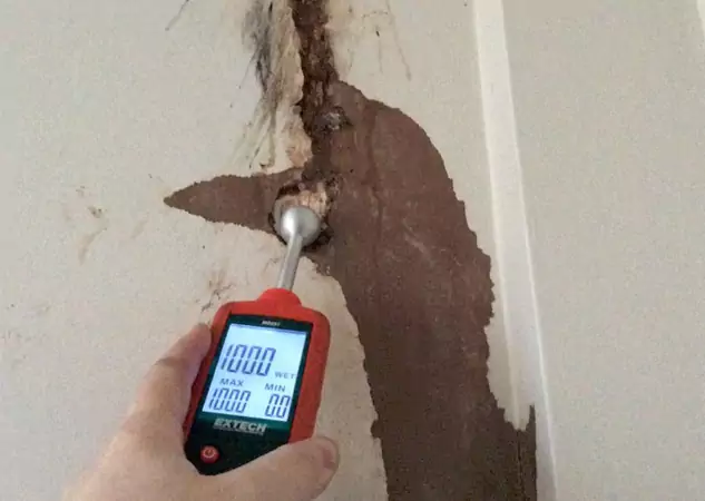 Your Water Damage Assessment Partner in Oakman, GA