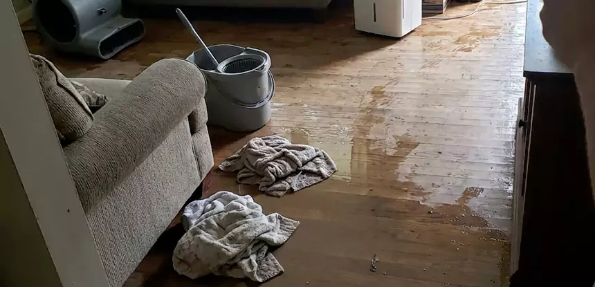 Professional Basement Water Remediation Services in Oakman, GA
