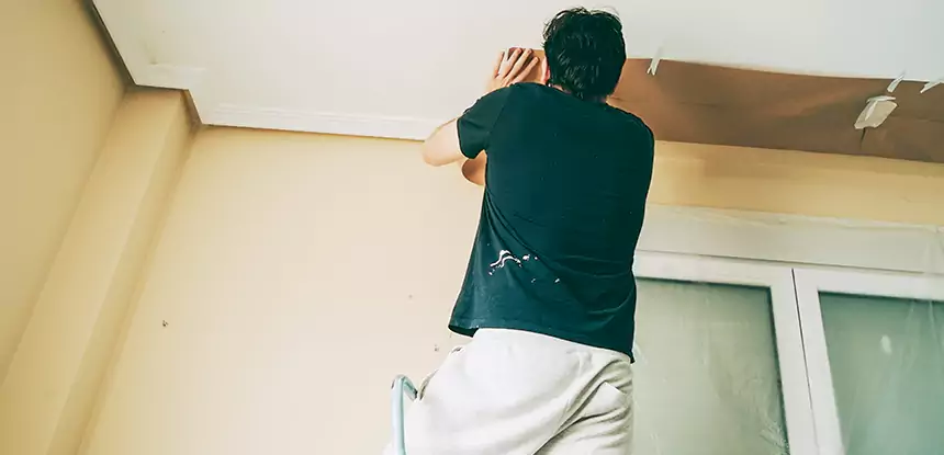 Ceiling Water Damage Repair in Oakman