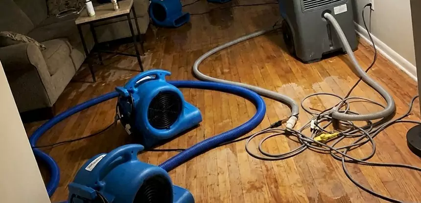 Basement Flood Restoration Services in Oakman