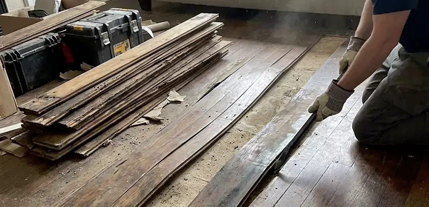 Wood Rot and Fungus Repair in Oakman