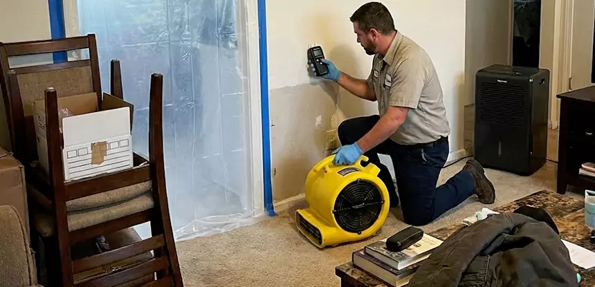Carpet Water Damage Repair Oakman