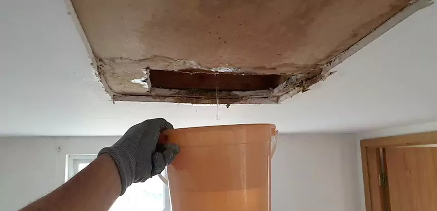 Ceiling Mold Repair Oakman