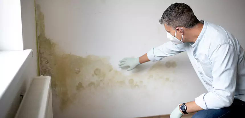 Mold and Water Damage Repair in Oakman