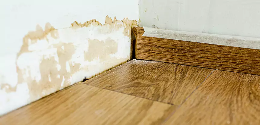 Professional Fix Water Damaged Wood Services in Oakman, GA