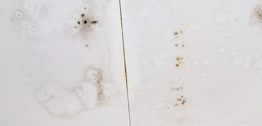 Professional Water Stain Repair Services in Oakman, GA