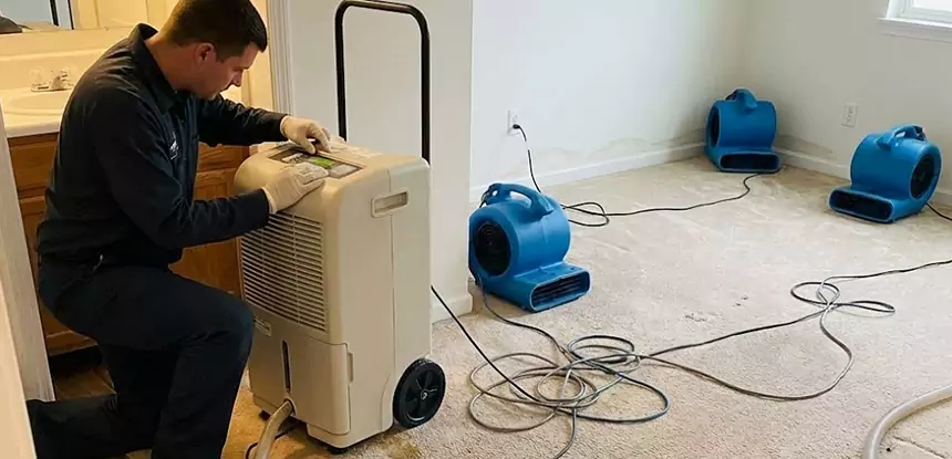 Professional Wet Carpet Removal Services in Oakman, GA