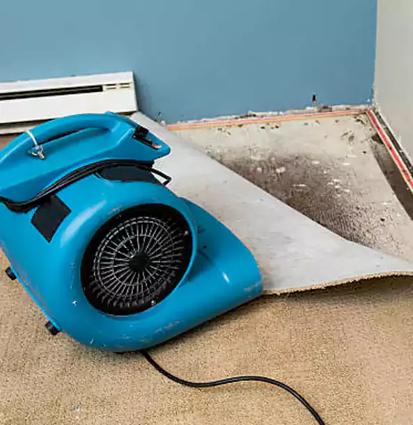 Why Oakman Trusts Oakman Restoration Pro for Carpet Flood Recovery?