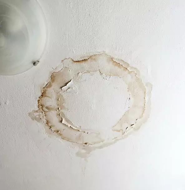 Why Oakman Property Owners Choose Oakman Restoration Pro for Ceiling Water Damage Restoration?