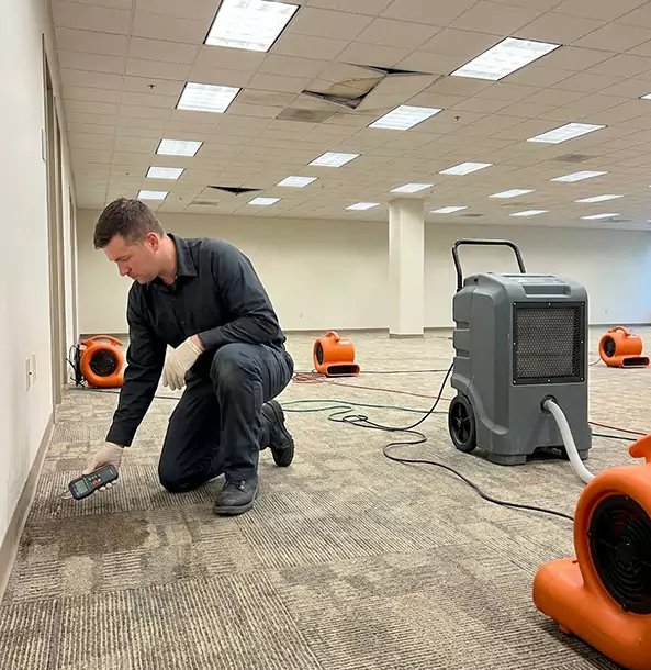 Why Oakman Businesses Choose Oakman Restoration Pro for Water Cleanup?