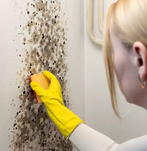 Why Oakman Restoration Pro Leads Mold Remediation in Oakman?