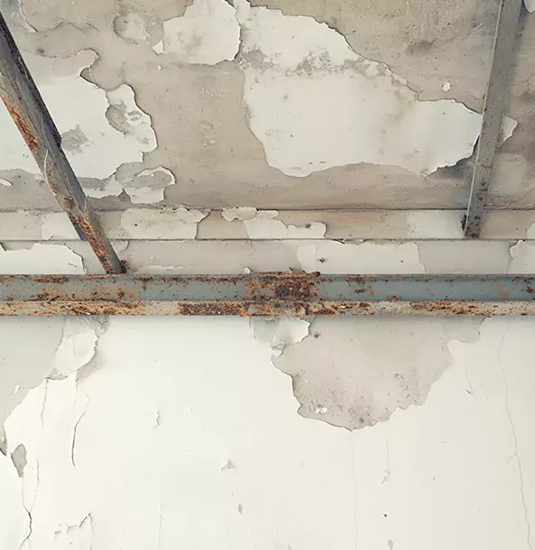 Why Oakman Restoration Pro Is the Right Choice in Oakman, GA?