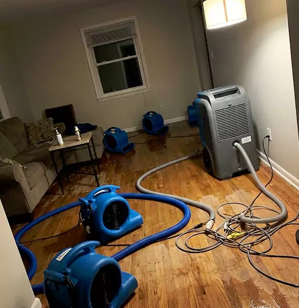 Why Oakman Property Owners Rely on Oakman Restoration Pro for Remediation?