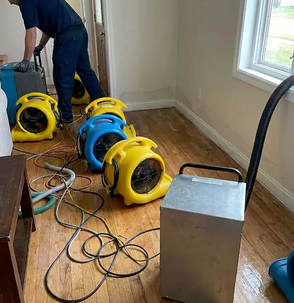 Why Oakman Property Owners Choose Oakman Restoration Pro for Remediation?