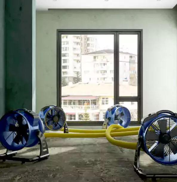 Why Oakman Property Owners Trust Oakman Restoration Pro for Water Damage Drying?