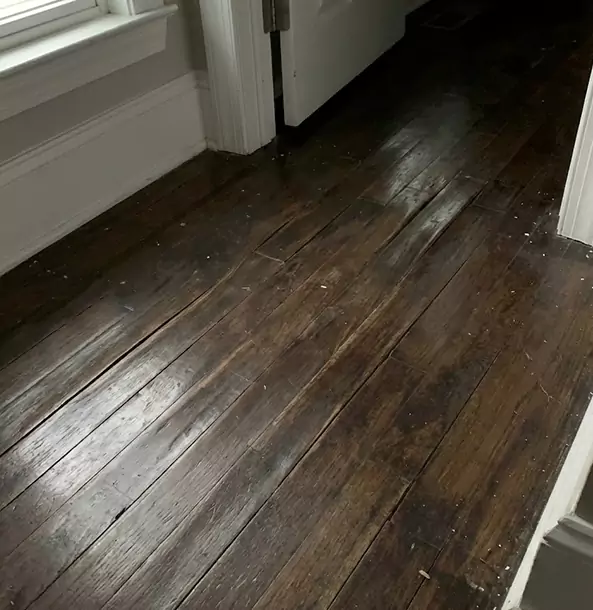 Why Oakman Homeowners Trust Oakman Restoration Pro to Fix Water Damaged Wood?