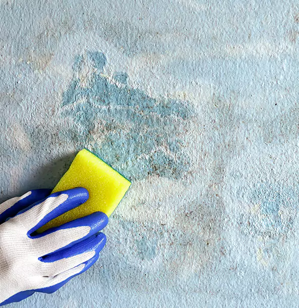 Why Oakman Restoration Pro Is the Right Choice in Oakman, GA?