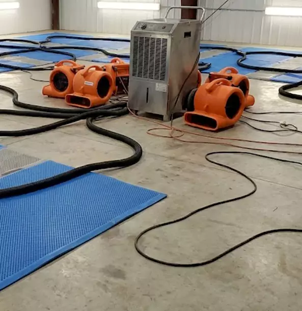 Why Oakman Homeowners and Businesses Choose Oakman Restoration Pro for Wet Carpet Removal?