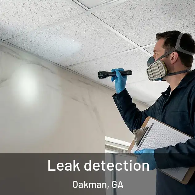  Leak detection Oakman, GA