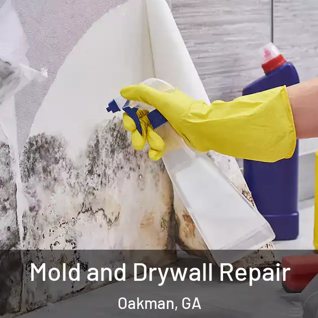  Mold and Drywall Repair Oakman, GA