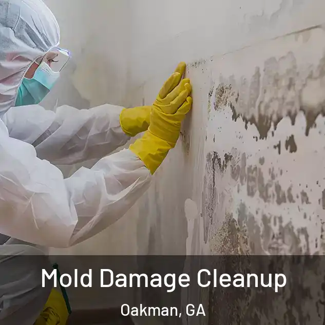  Mold Damage Cleanup Oakman, GA
