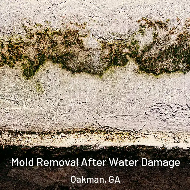  Mold Removal After Water Damage Oakman, GA