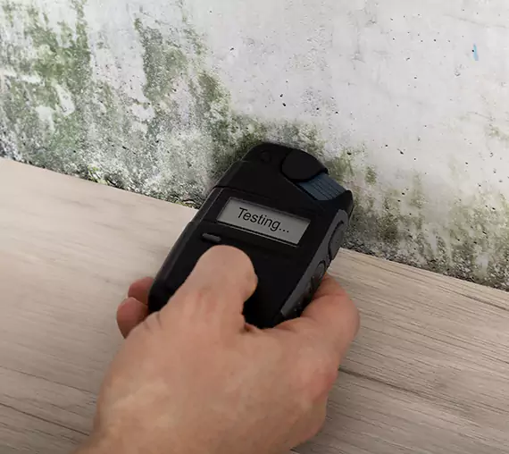 Mold Remediation Service Oakman
