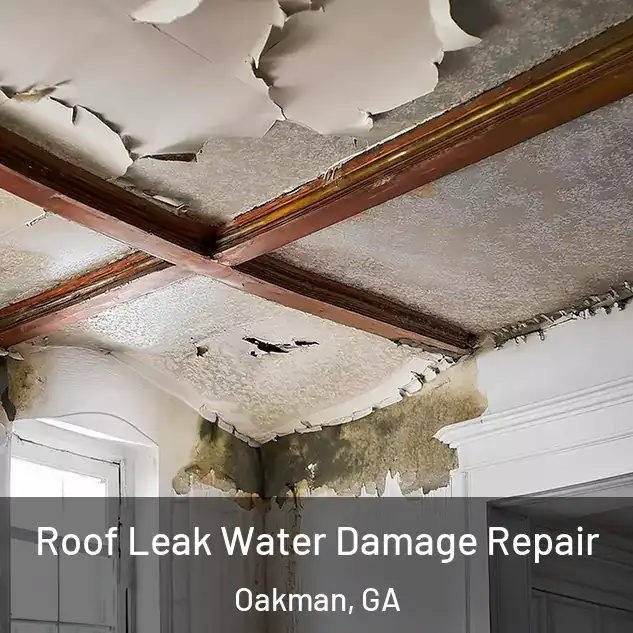  Roof Leak Water Damage Repair Oakman, GA