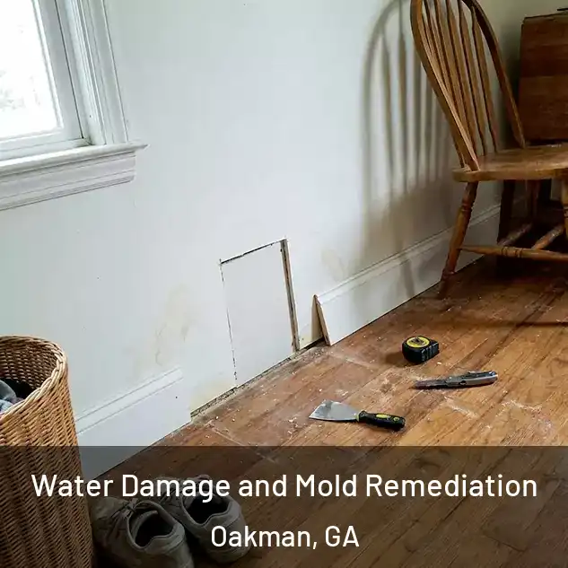  Water Damage and Mold Remediation Oakman, GA