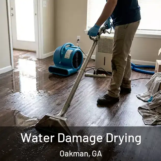  Water Damage Drying Oakman, GA