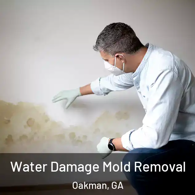  Water Damage Mold Removal Oakman, GA