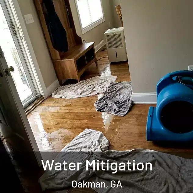  Water Mitigation Oakman, GA