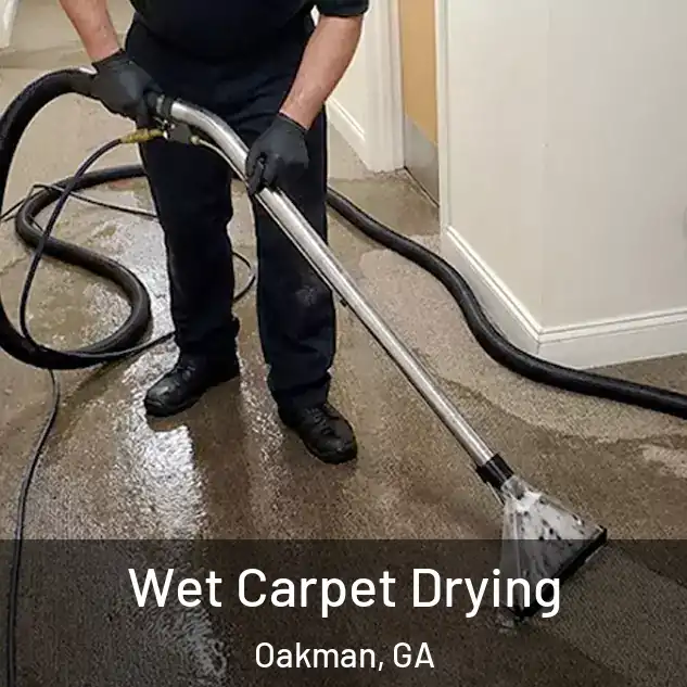  Wet Carpet Drying Oakman, GA
